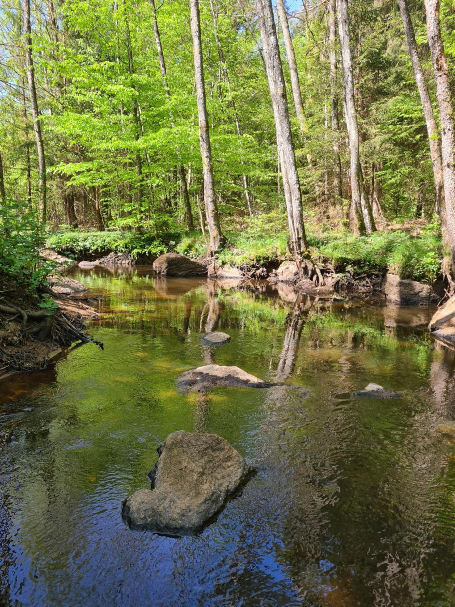 Bysmedjan Βίλα Hässleholm Εξωτερικό φωτογραφία